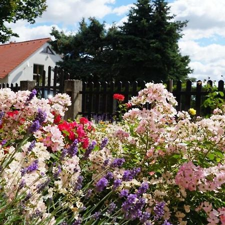 Pension Limone Ferienwohnung 1 Neu Lindenberg Dış mekan fotoğraf